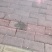 砖