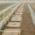 防鸟网使用寿命长一斤55到60平方果园鱼塘专用