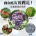 防鸟网使用寿命长一斤55到60平方果园鱼塘专用