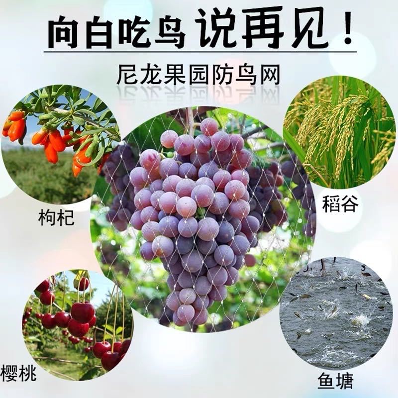 防鸟网使用寿命长一斤55到60平方果园鱼塘专用