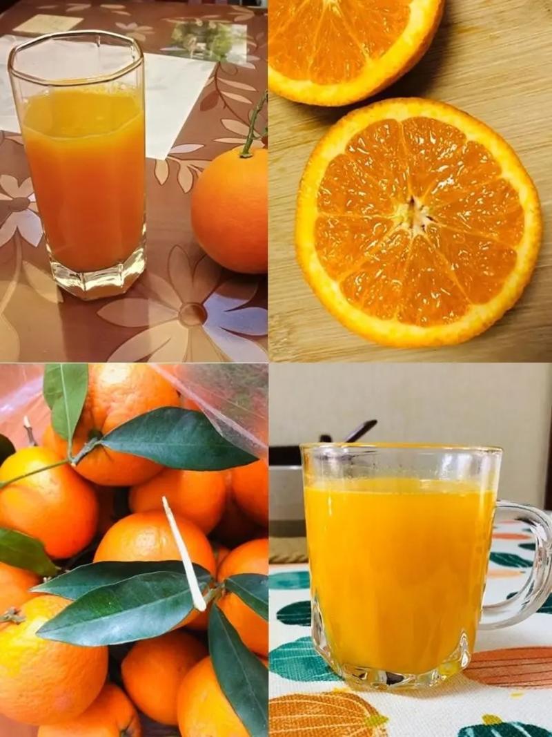 【实力】重庆奉节纽荷尔脐橙奉节脐橙橙子大量上市