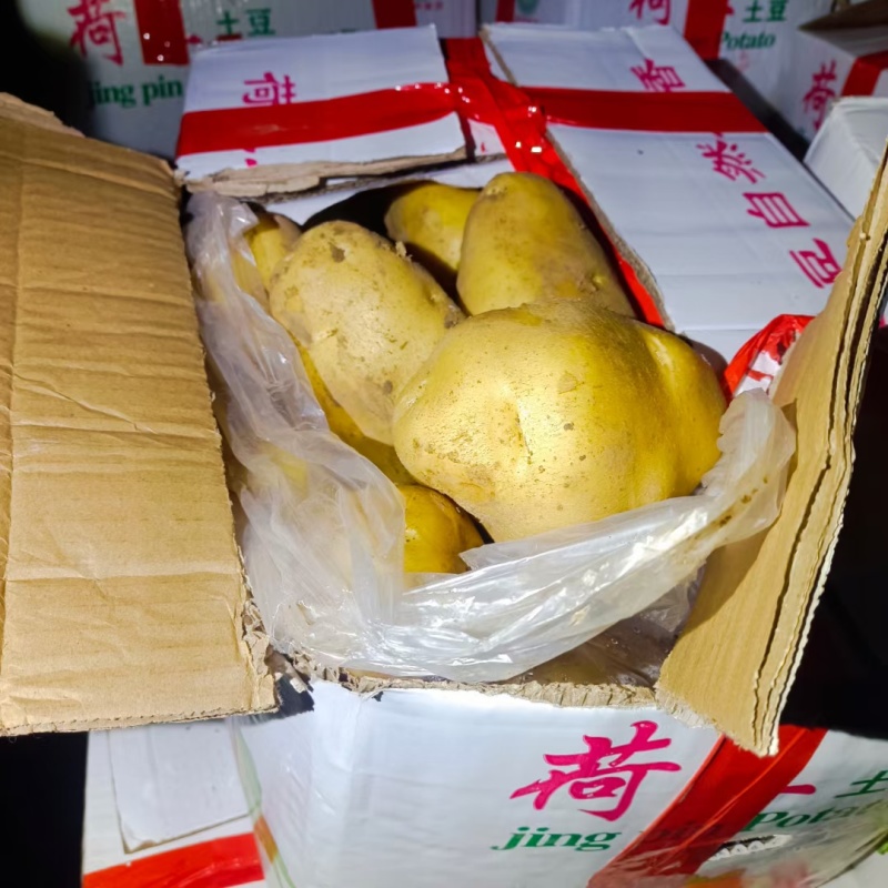 山东潍坊安丘供应优质土豆