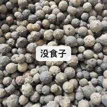 没食子药材批发产地直售保真保量包邮