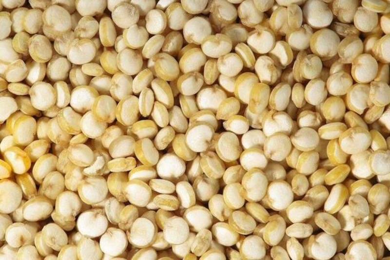 精品白藜麦，产地直发对接全国批发，品质保障诚信经营