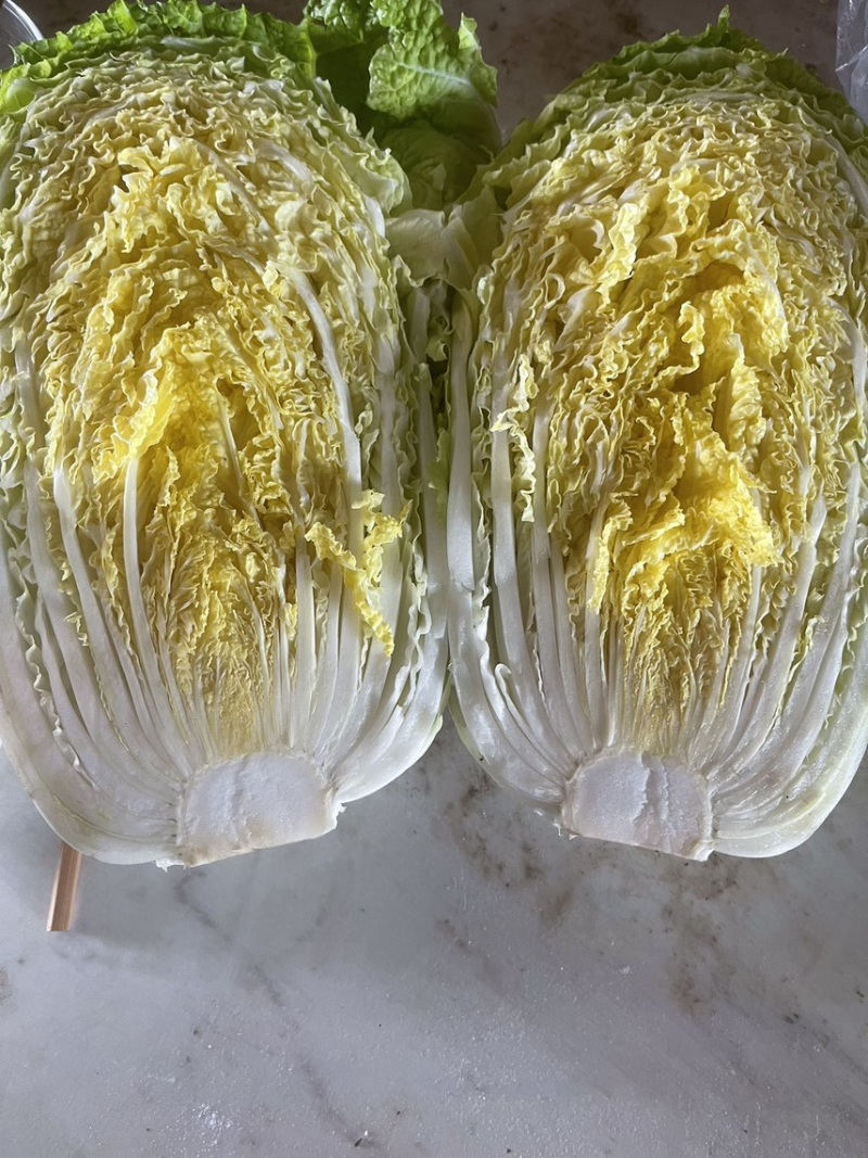 南京黄心大白菜
