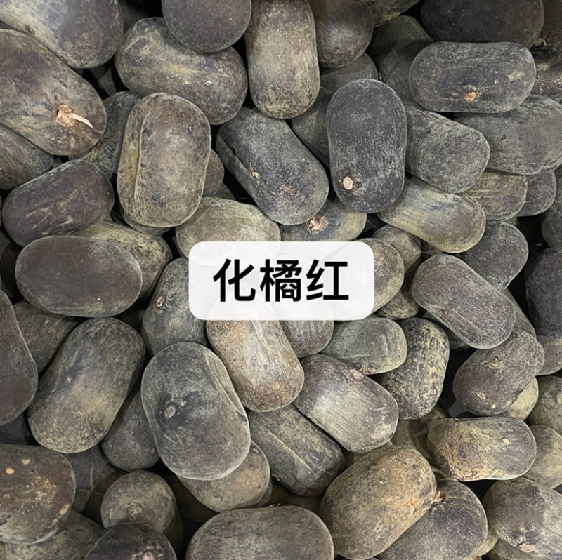 没食子药材批发产地直售保真保量包邮