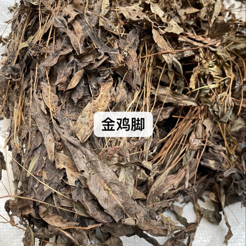 没食子药材批发产地直售保真保量包邮