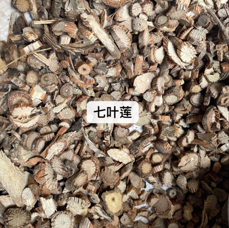 没食子药材批发产地直售保真保量包邮