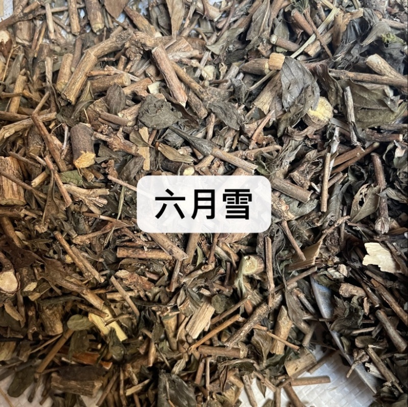 没食子药材批发产地直售保真保量包邮