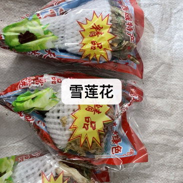 雪莲花中药材批发保真保量产地直售包邮