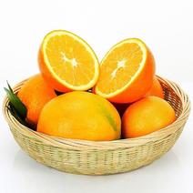 【精品】湖南纽荷尔7904脐橙大量现货一手货源价格优惠