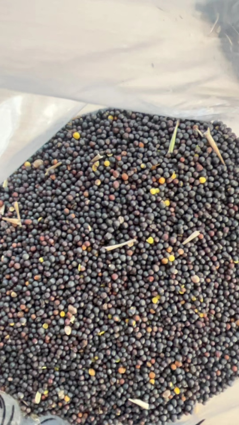 高含油菜籽油色80分，香味好，性价比超高