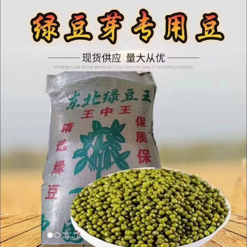 绿芽豆东北绿豆绿芽豆现货绿豆芽高出芽97以上