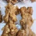 酱香牛主筋，可按顾客顾客要求定制，一手货源，长期有货