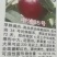 中油34桃树苗中油366月上询成熟个头大口感甜