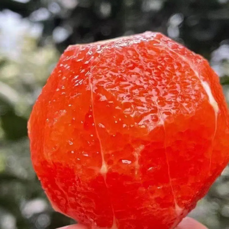 圆虹脐橙湖北产地直供基地直发皮薄汁甜量大从优欢迎来电优惠