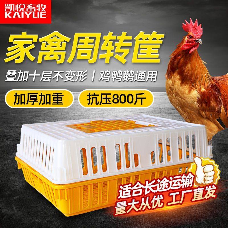 鸡笼子家用养殖周转箱家用大号加厚防摔运输塑料鸡笼长方形