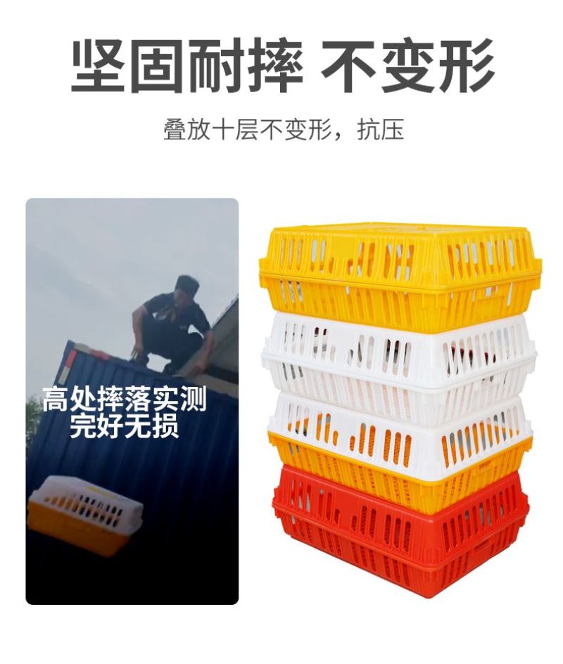鸡笼子家用养殖周转箱家用大号加厚防摔运输塑料鸡笼长方形