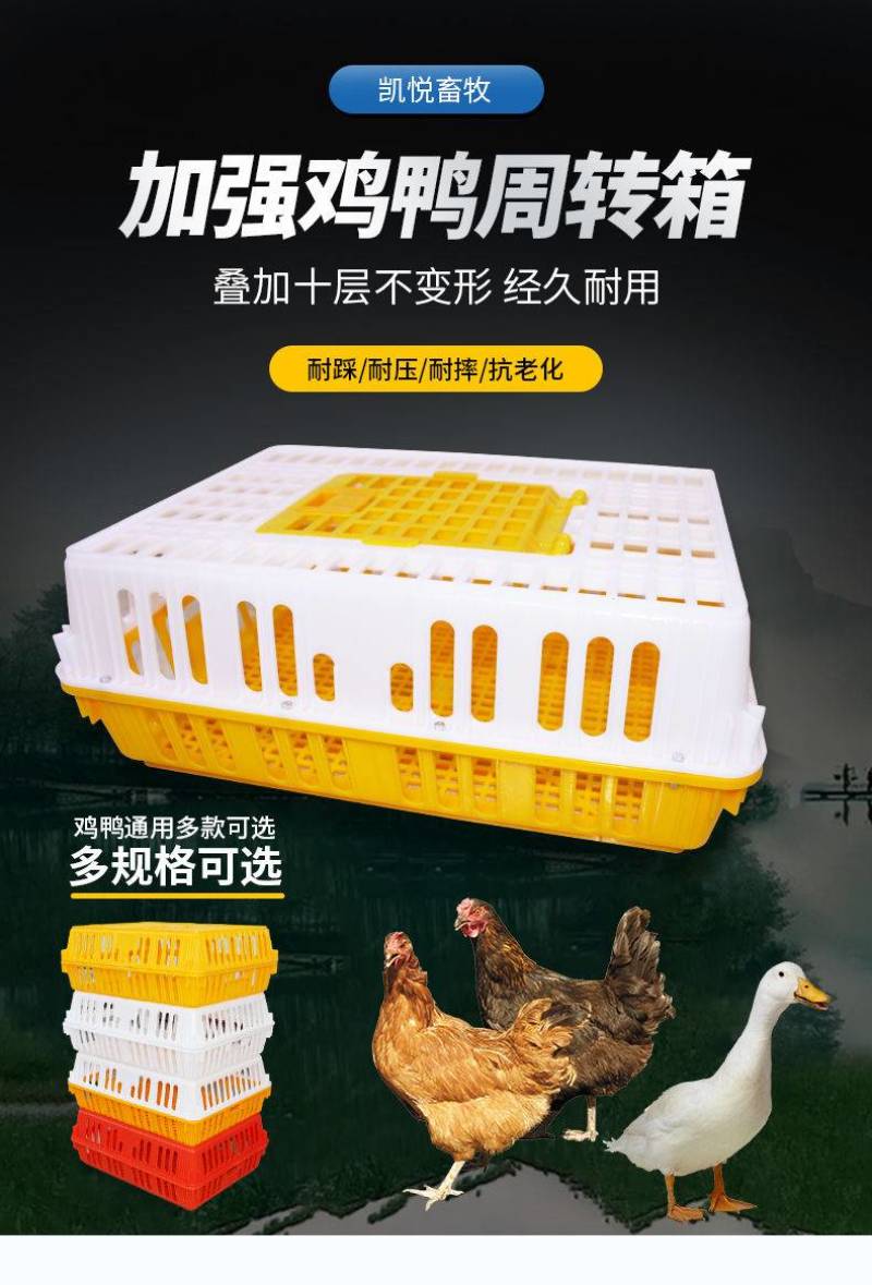 鸡笼子家用养殖周转箱家用大号加厚防摔运输塑料鸡笼长方形