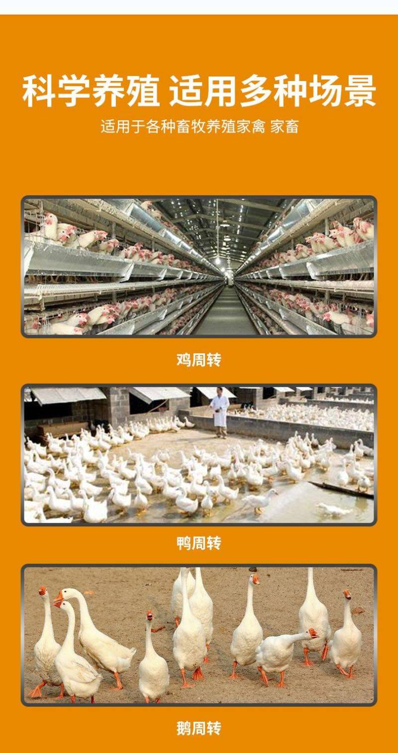 鸡笼子家用养殖周转箱家用大号加厚防摔运输塑料鸡笼长方形
