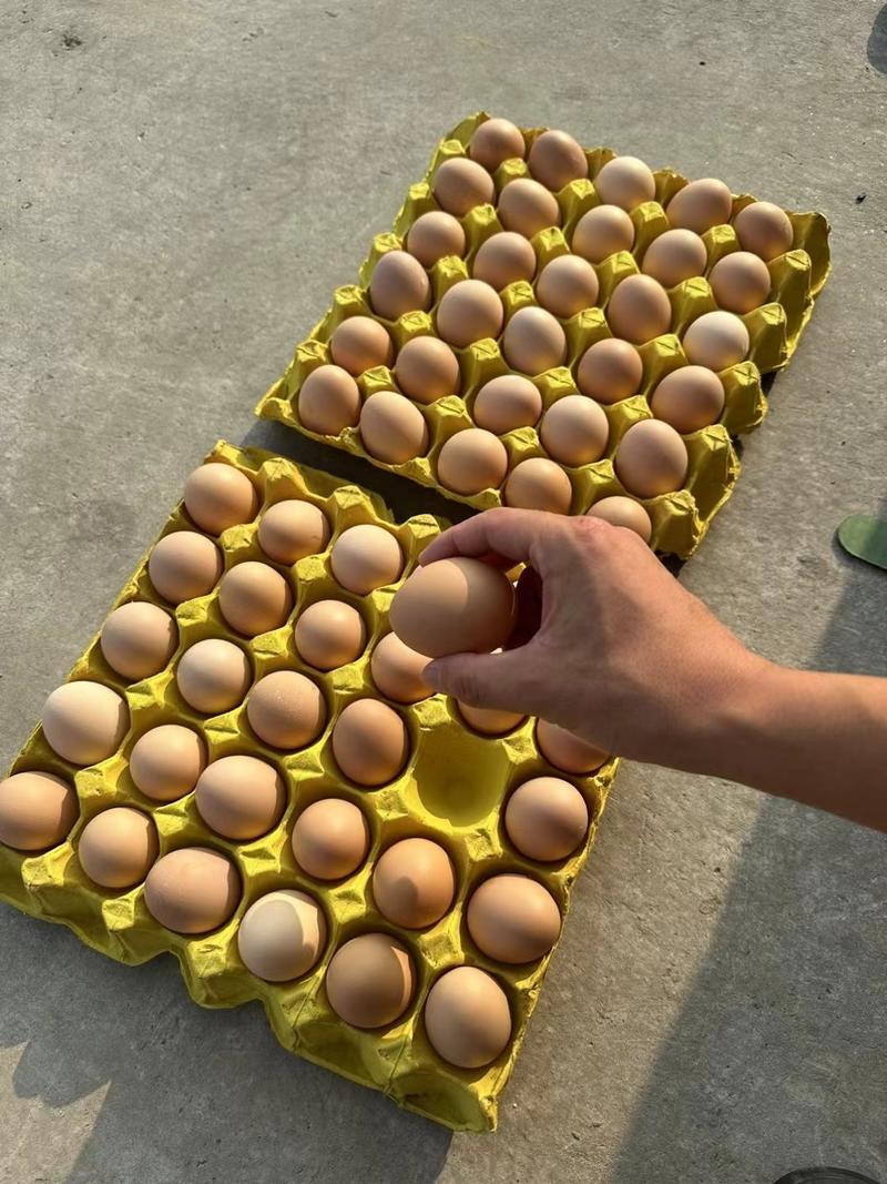 云南鸡蛋，云南红心鸡蛋，云南优质土鸡蛋