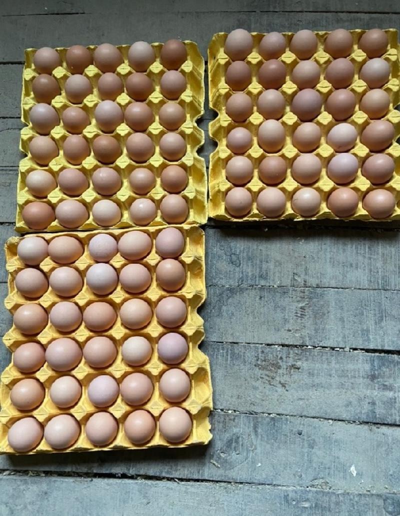 云南鸡蛋，云南红心鸡蛋，云南优质土鸡蛋