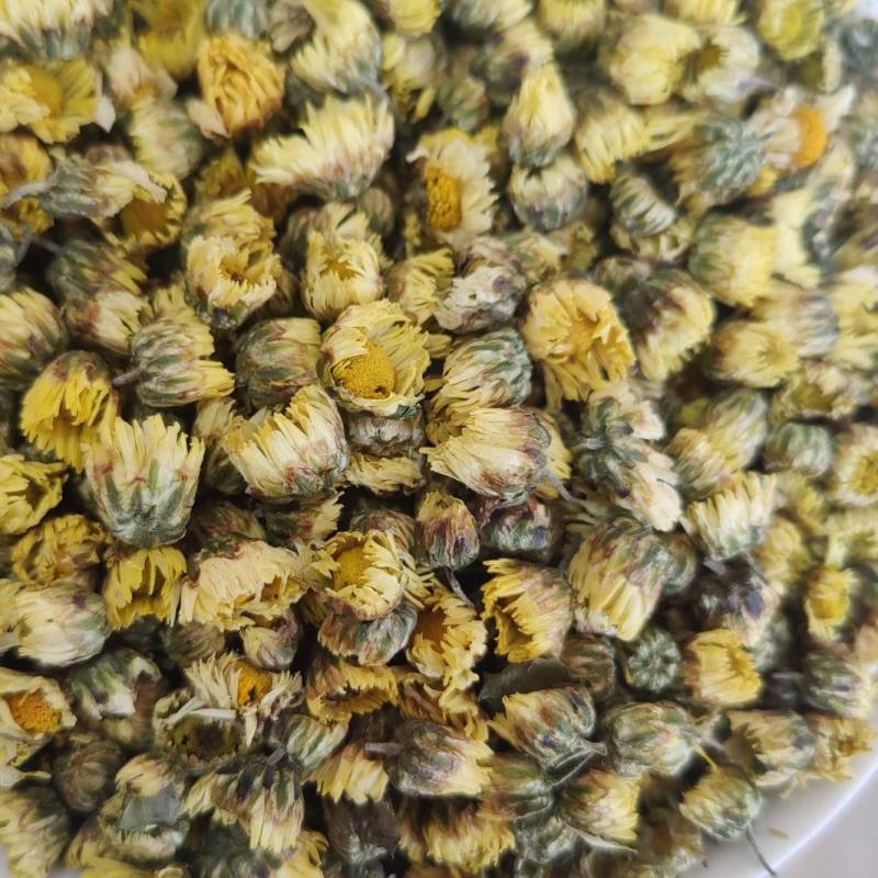 胎菊各种品种，北京菊，香菊，苏北菊