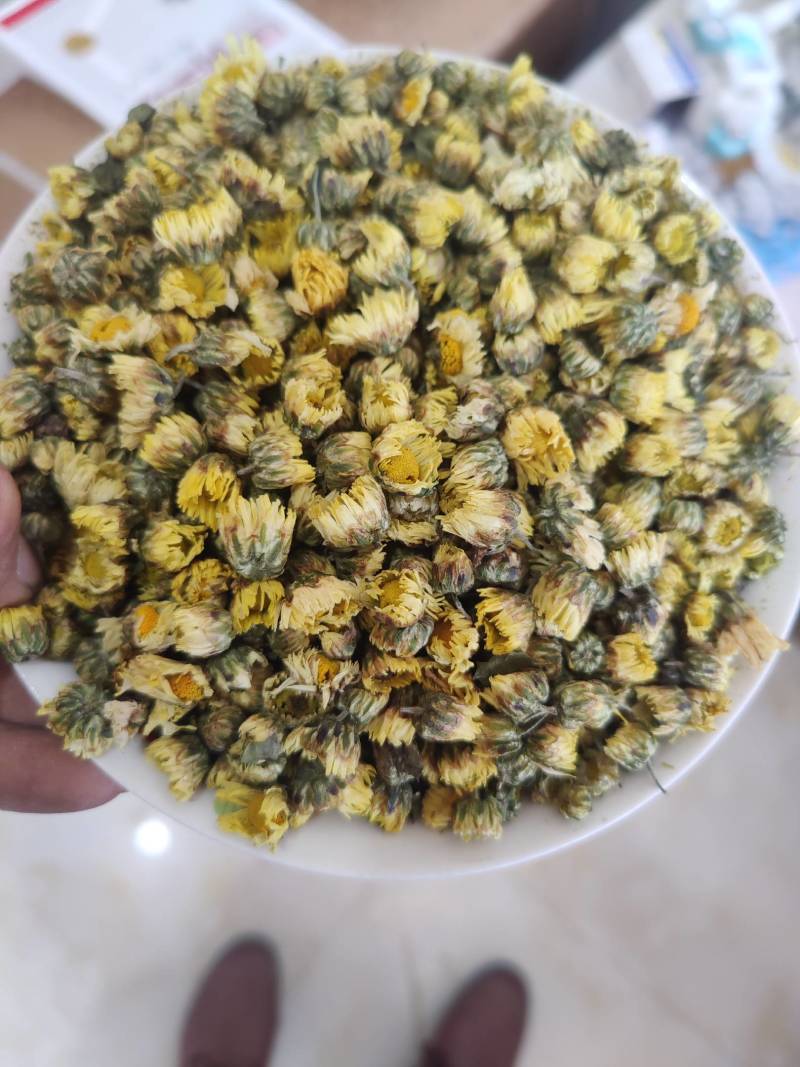 胎菊各种品种，北京菊，香菊，苏北菊