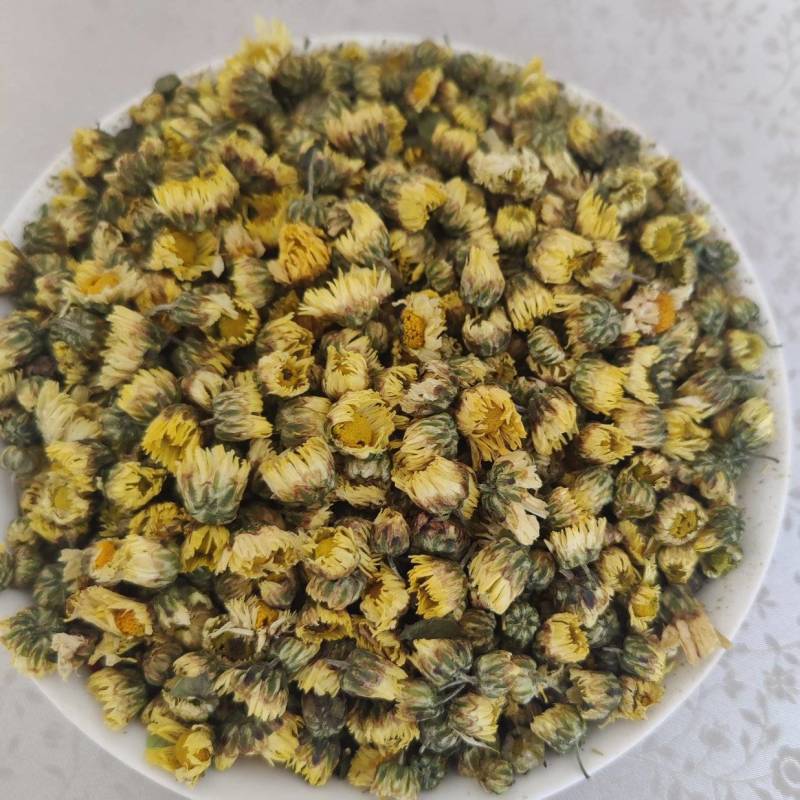 胎菊各种品种，北京菊，香菊，苏北菊