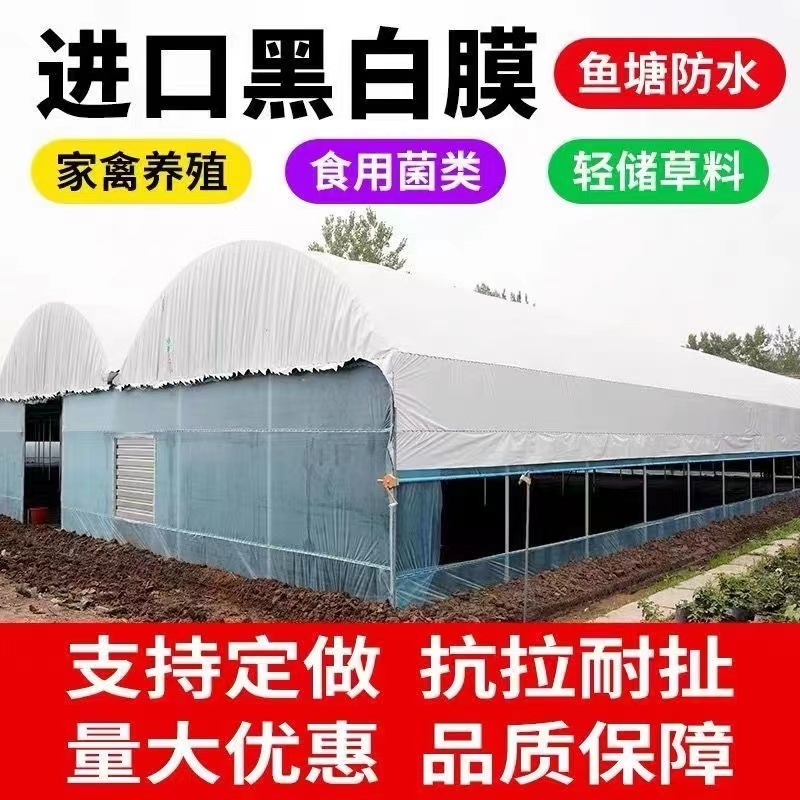 大棚黑白膜进口进口加厚透明防雨长寿防晒蔬菜大棚膜