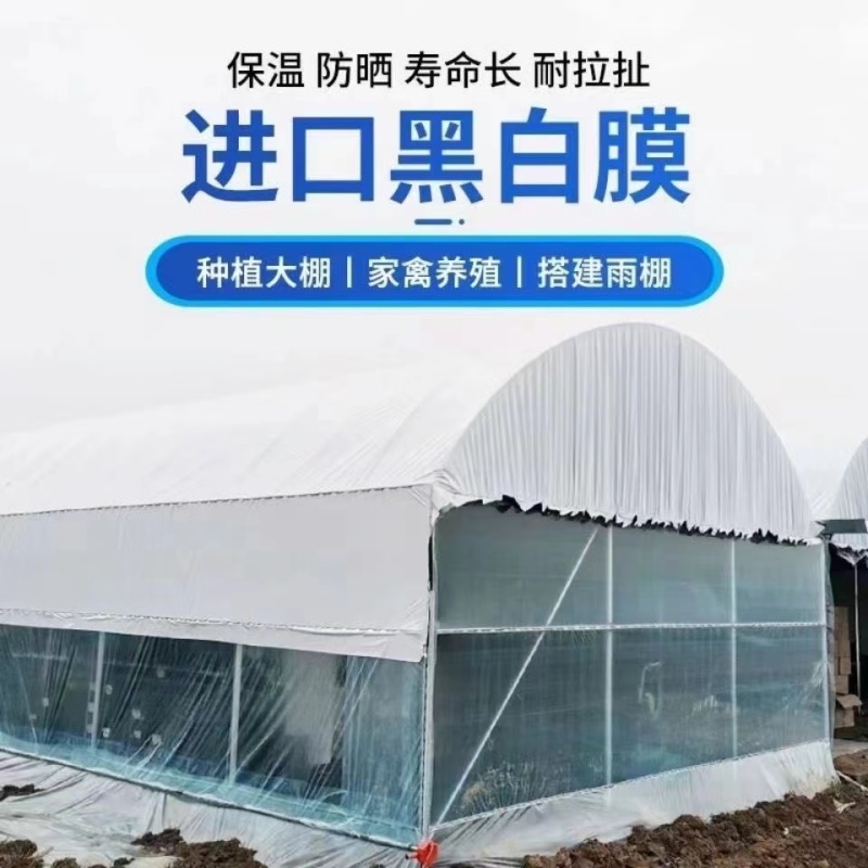 大棚黑白膜进口进口加厚透明防雨长寿防晒蔬菜大棚膜