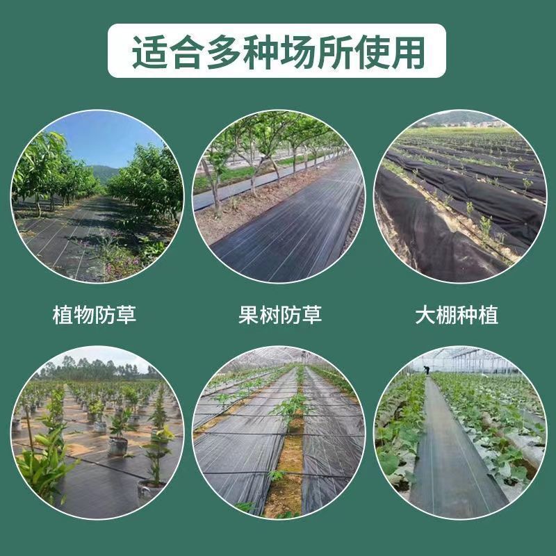 防草布除草布抗老化园艺地布果园果树遮草盖草布透气包邮