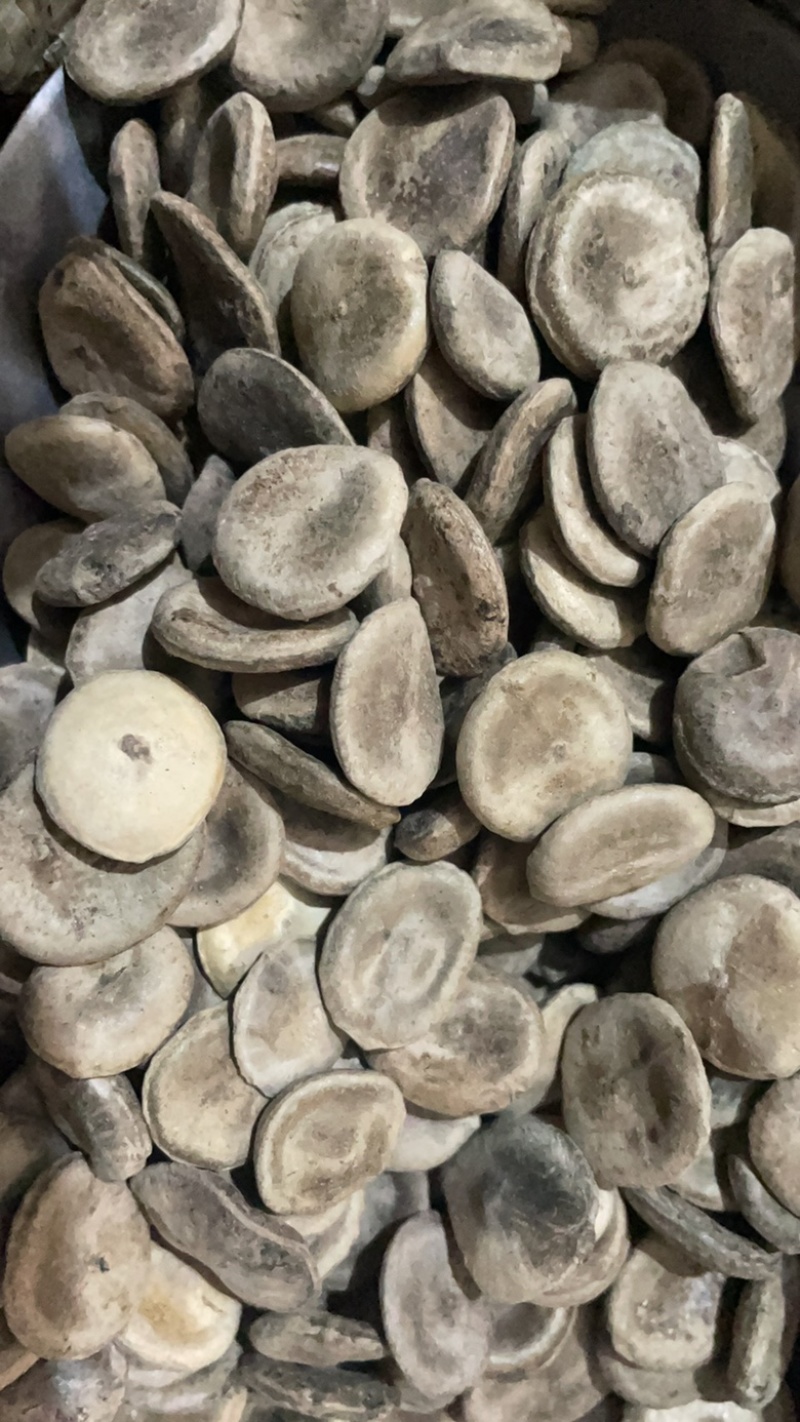 马前子药材保真保量货源充足可按需抓药包邮