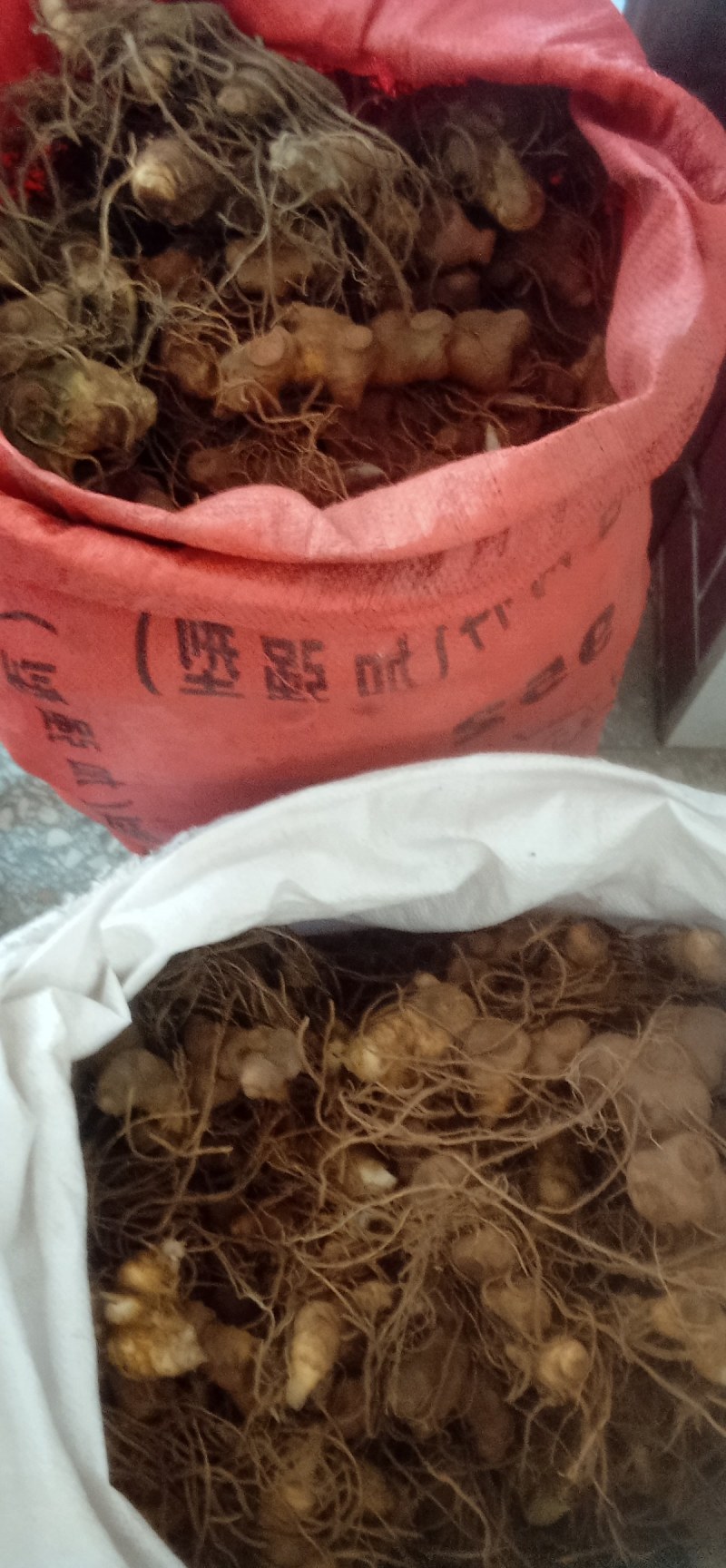 黄精野生黄精干浄无杂质