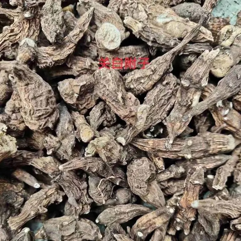 乌药在售店里药材齐全保真保量包邮生制货源充足