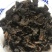 乌药在售店里药材齐全保真保量包邮生制货源充足