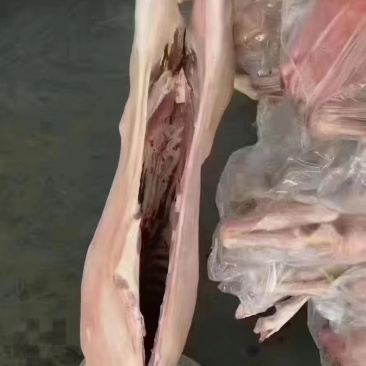 精品羊酮体带皮去皮两种