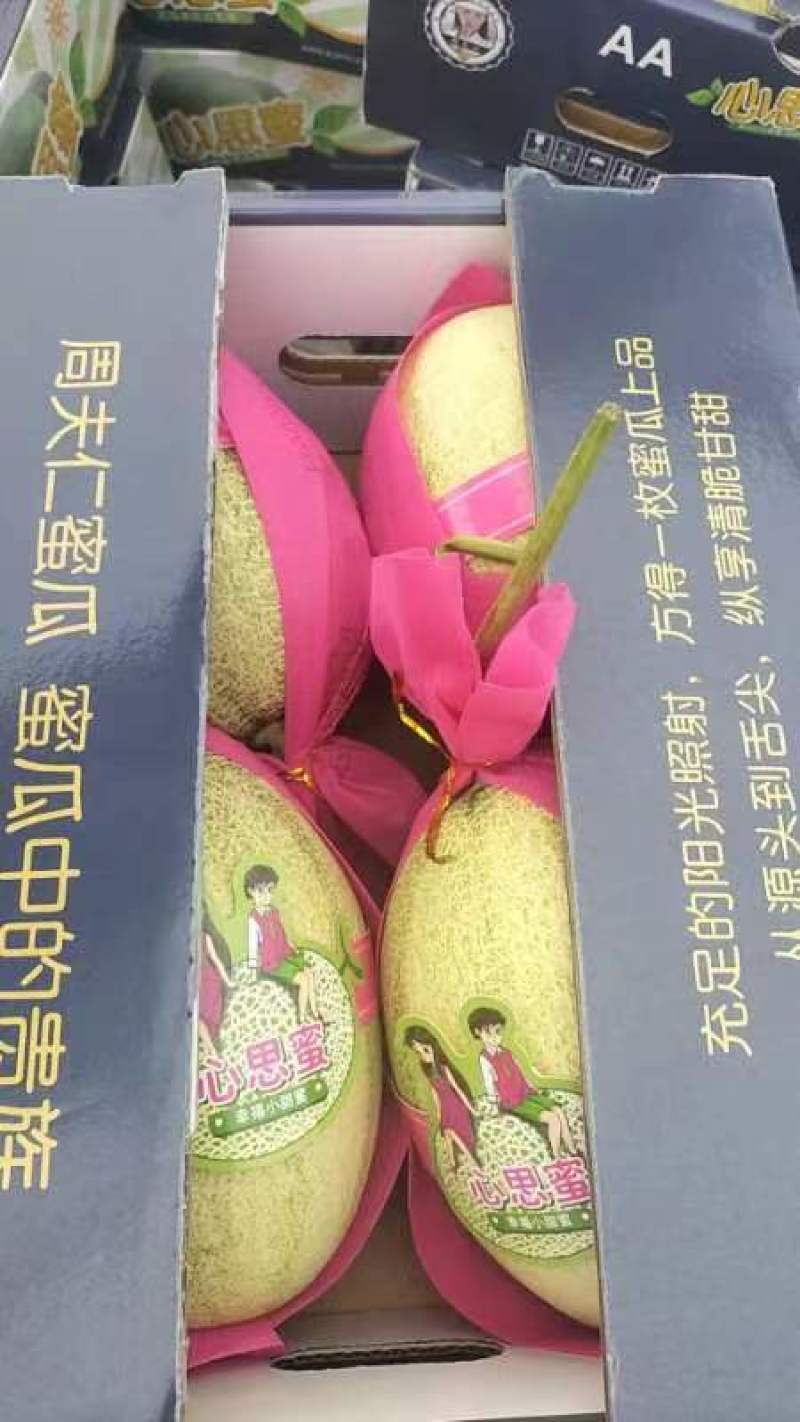 哈密瓜供应商