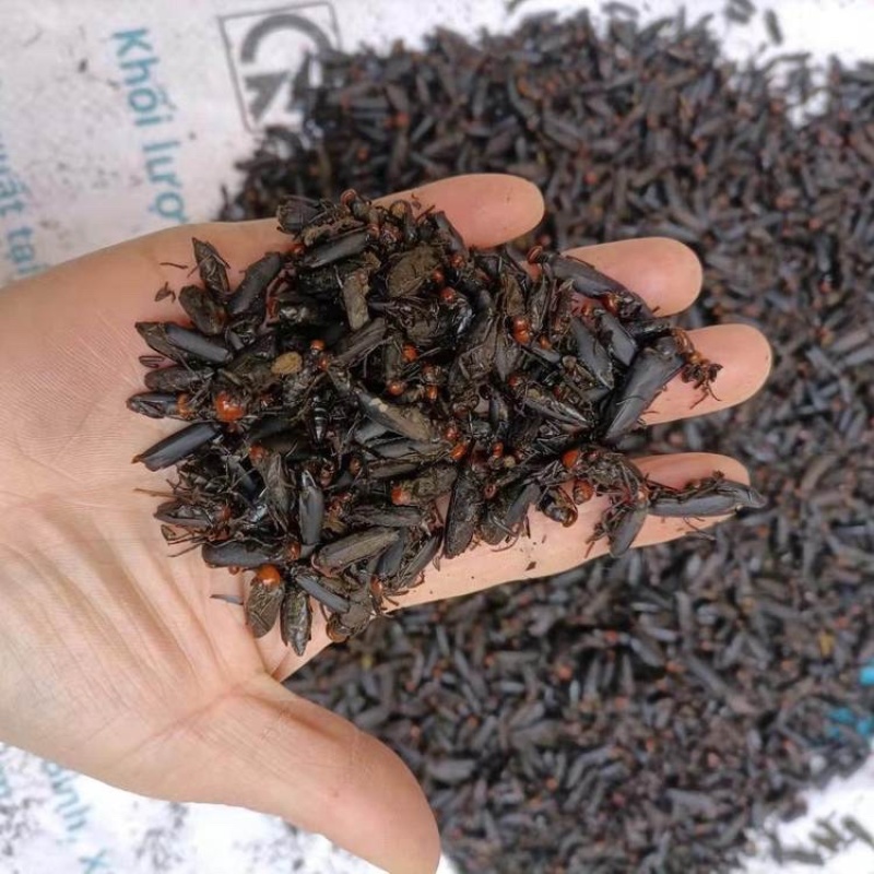 红虫药材批发保真保量可按需抓药包邮