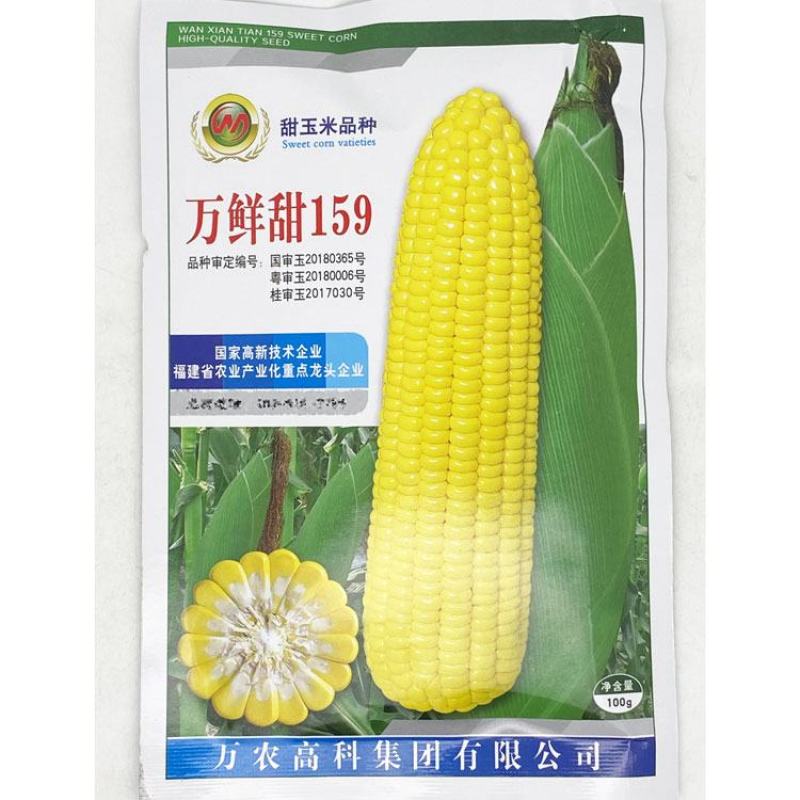 万鲜甜159黄甜水果玉米种子大棒薄皮无渣泰系甜玉米种原装