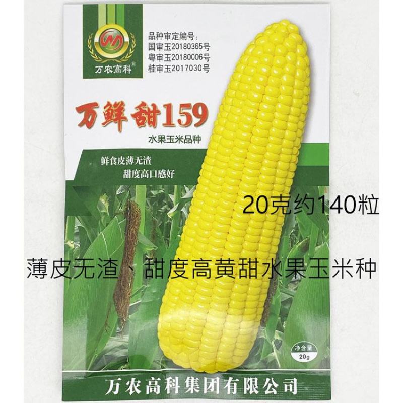 万鲜甜159黄甜水果玉米种子大棒薄皮无渣泰系甜玉米种原装
