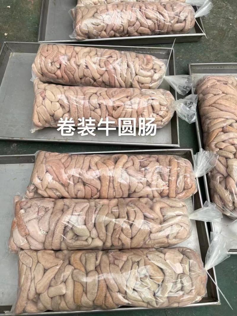 牛圆肠