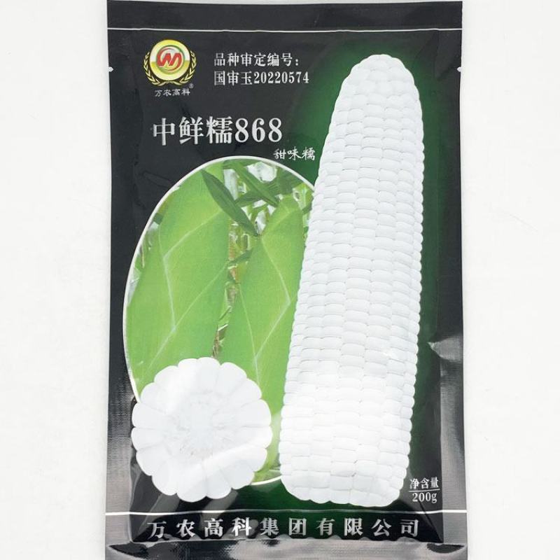 中鲜糯868白甜糯玉米种子大棒绿皮非转白糯玉米种原装发货