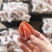 平乐柿饼源头加工厂源头商超批发电商柿饼一手货广西桂林源头