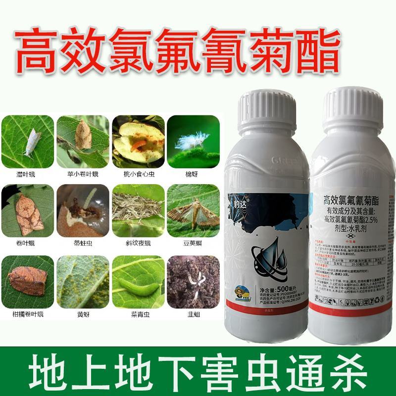 正品2.5%功夫菊酯高效氯氟氰杀虫药功夫菊酯甘蓝菜青虫杀