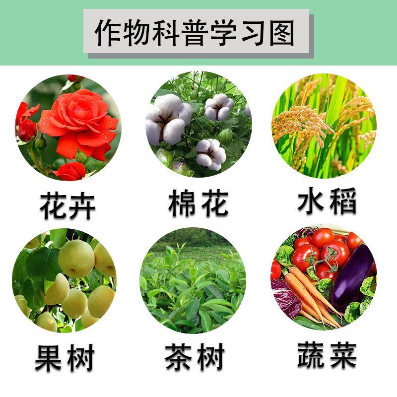 正品2.5%功夫菊酯高效氯氟氰杀虫药功夫菊酯甘蓝菜青虫杀