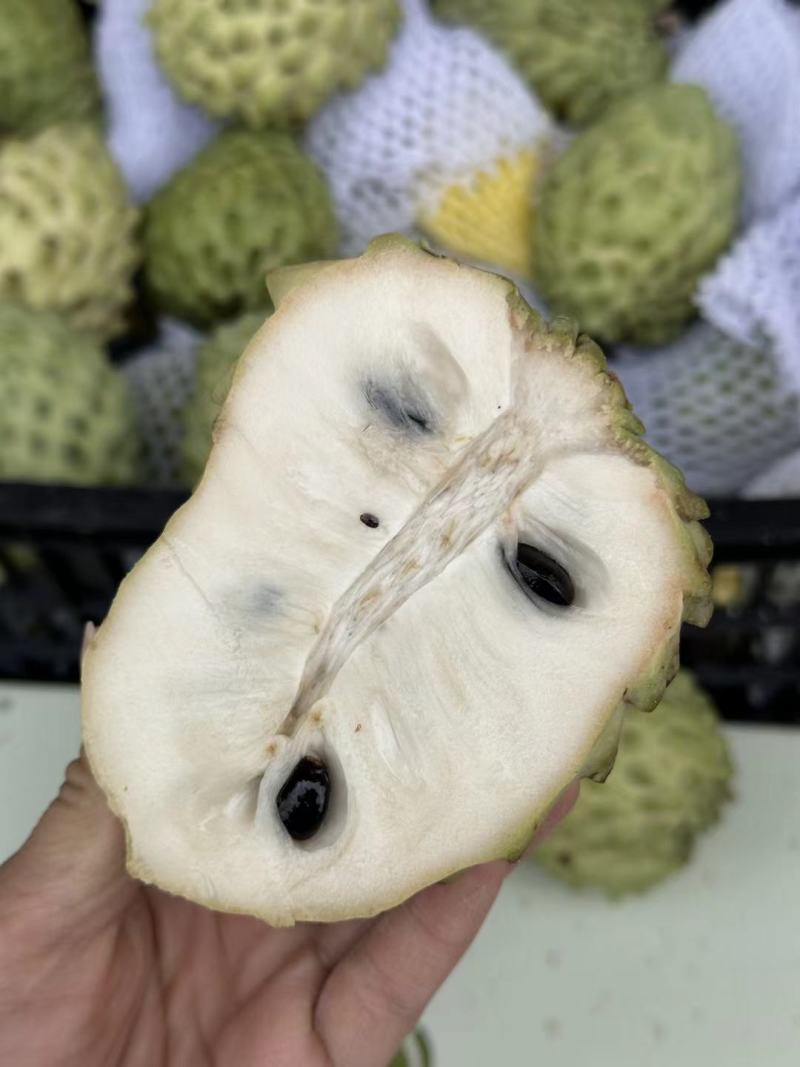 云南牛奶释迦果凤梨番石榴台湾大量有货支持一件代发批发团购