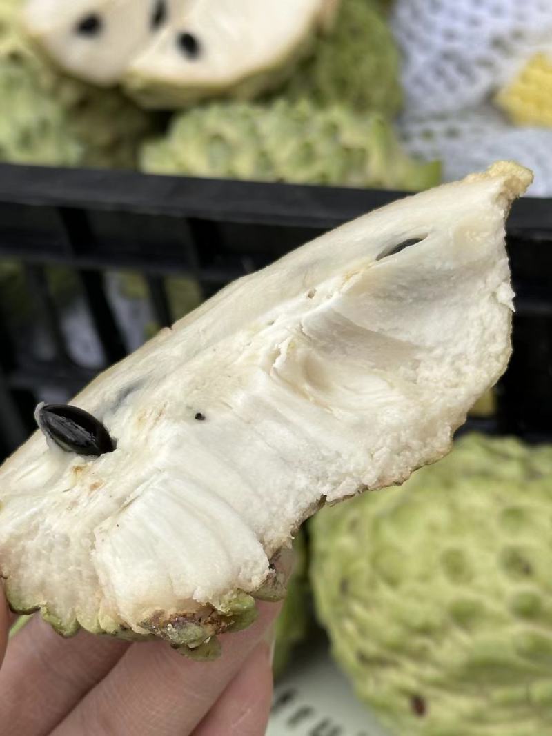 云南牛奶释迦果凤梨番石榴台湾大量有货支持一件代发批发团购
