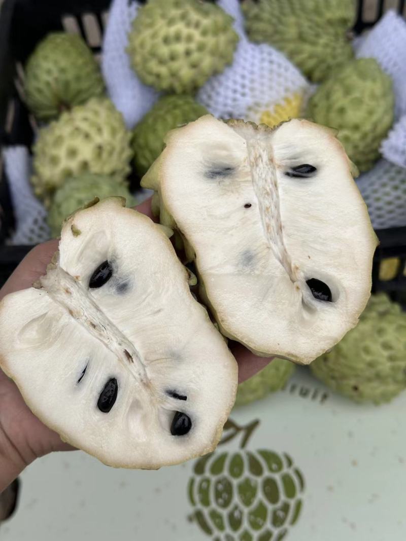 云南牛奶释迦果凤梨番石榴台湾大量有货支持一件代发批发团购
