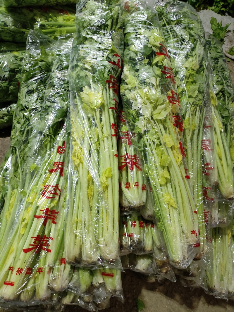 团超，电商，专用礼品盒，代装，马家沟芹菜